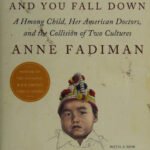 Download The Spirit Catches You and You Fall Down Book PDF For Free